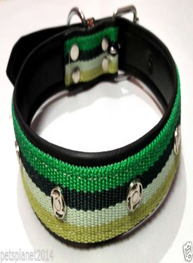 Ocean Wave Petsplanet Dog Collar with Stylish Design - Tri Color Strip - Image 3